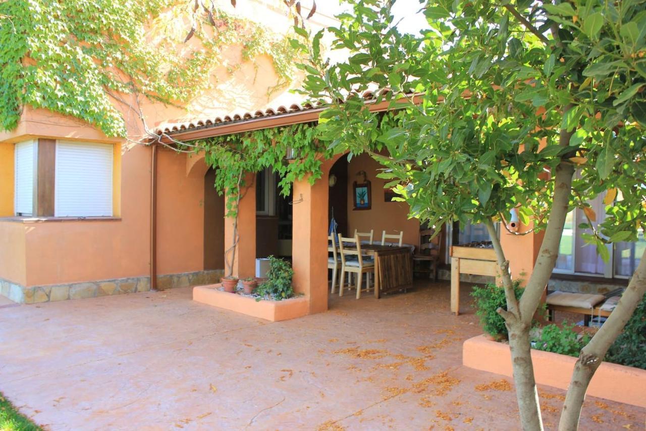 Finca Paredes Valdetorres de Jarama Exterior photo